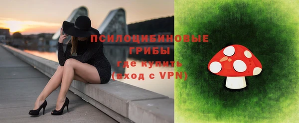 мескалин Ельня