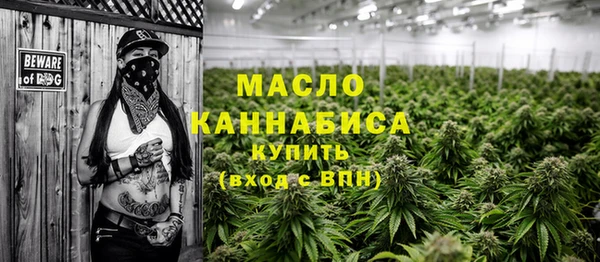 дживик Елабуга
