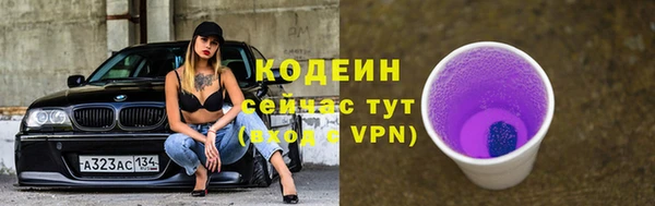 дживик Елабуга