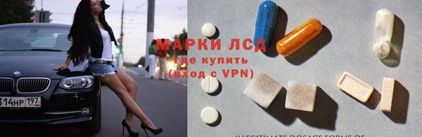 дживик Елабуга