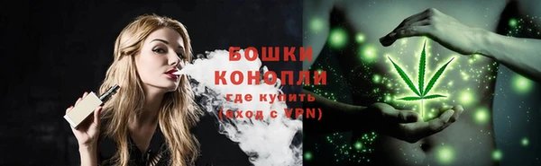 мескалин Ельня